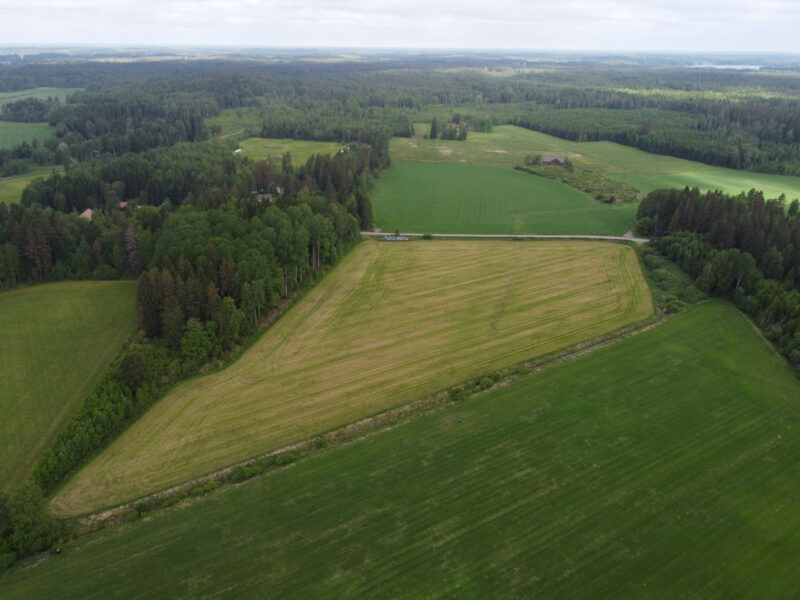 peräkäs 11.6.2026