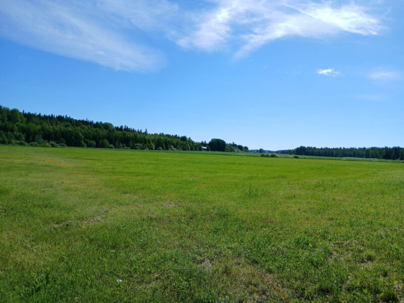 peräkäs 18.6.2026