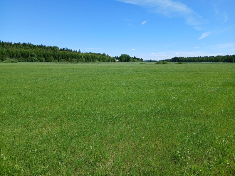 peräkäs 23.6.2026