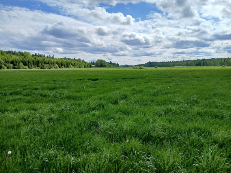 peräkäs 2.6.2026