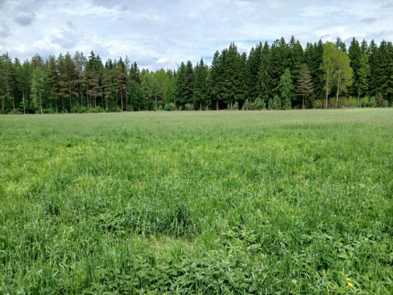 pikku-lassila 2.6.2026