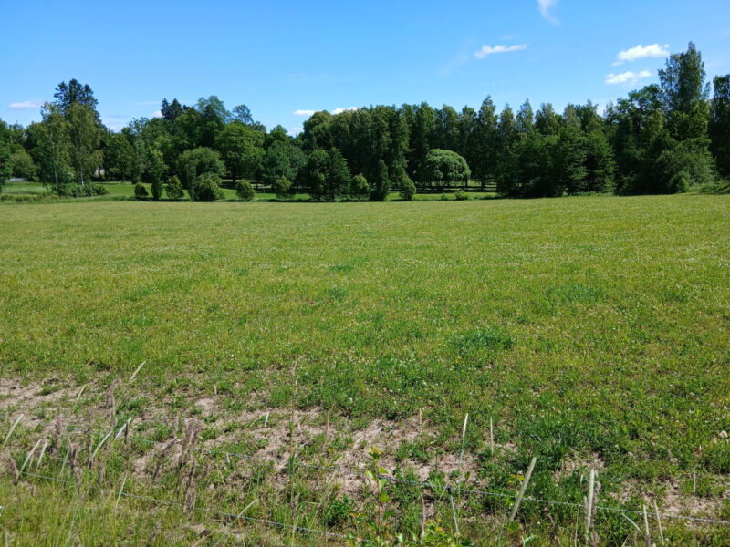 puutarhalohko 23.6.2026