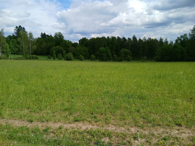 puutarhalohko 2.6.2026