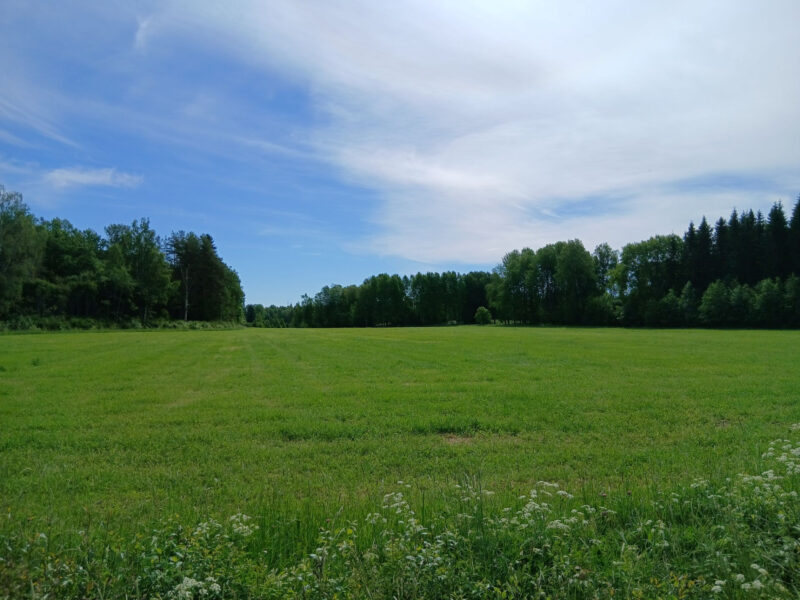 raikko 18.6.2026