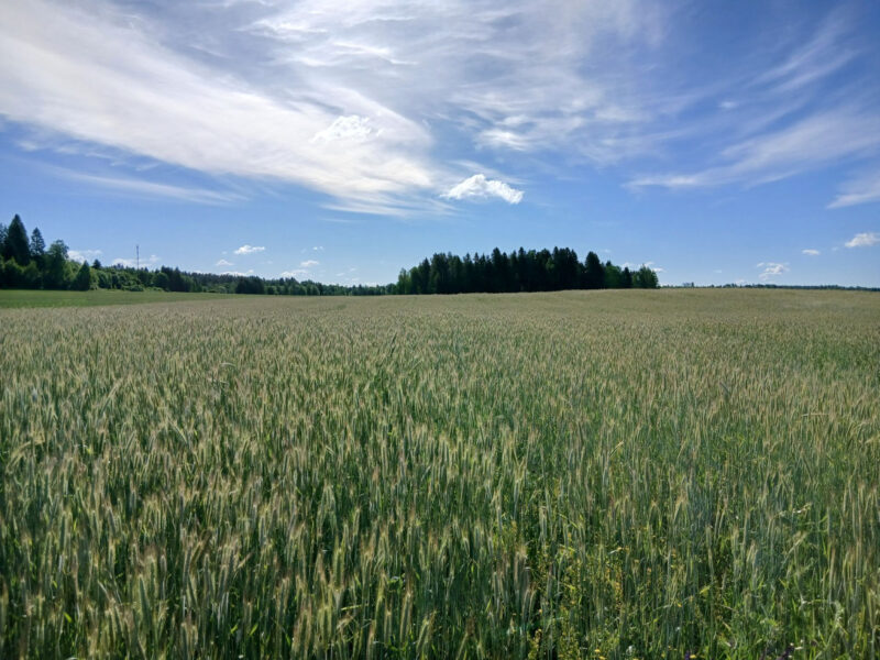 riuskanoja 23.6.2026