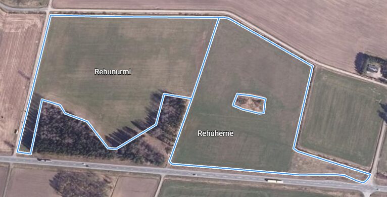 ruohonen 2026