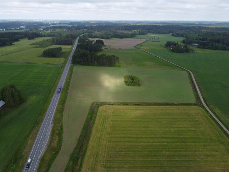 ruohonen 11.6.2026
