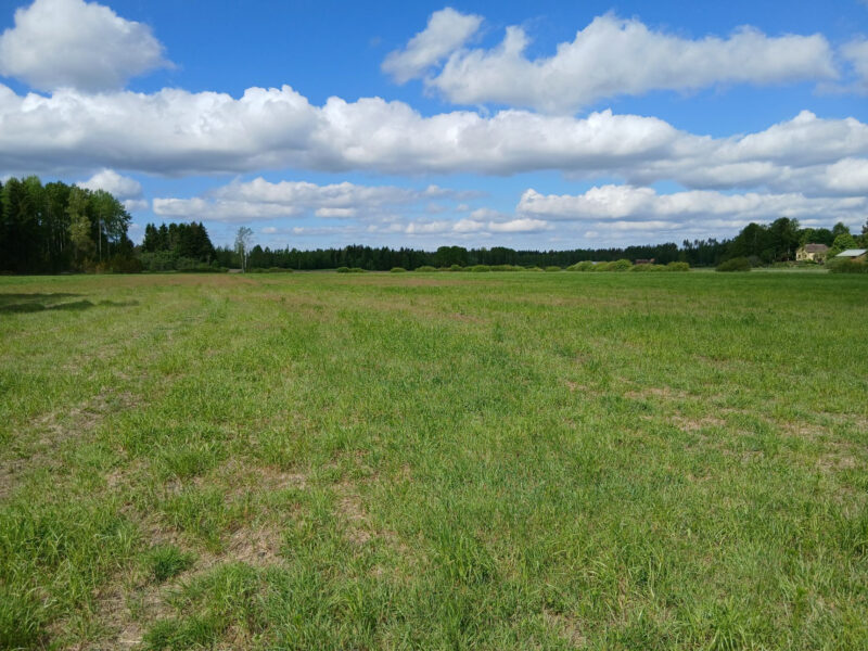 ruohonen 2.6.2026