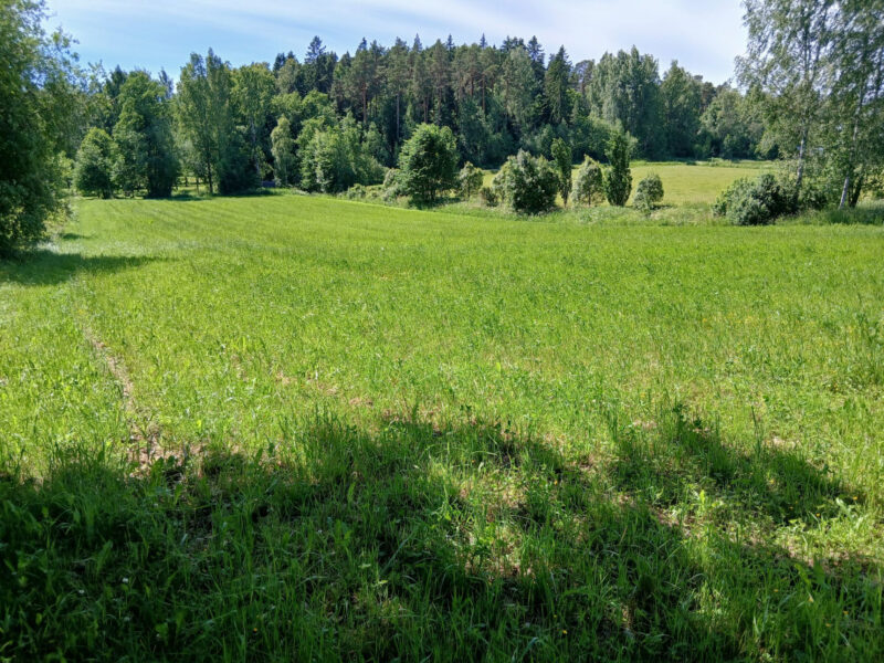 tallilohko 23.6.2026