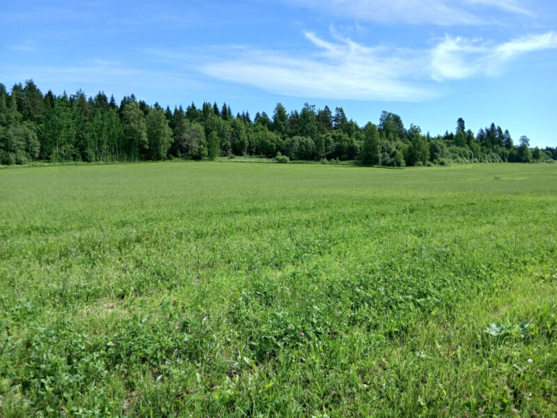 uusikylä 18.6.2026