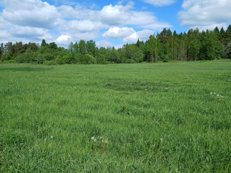 uusikylä 2.6.2026