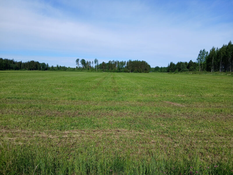 valtatie 18.6.2026