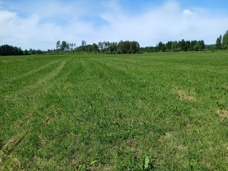 valtatie 23.6.2026