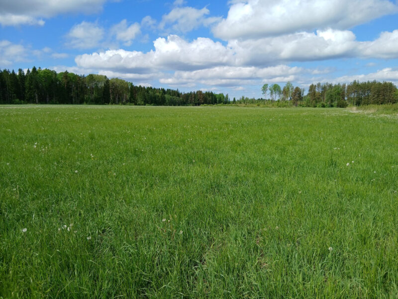 valtatie 2.6.2026