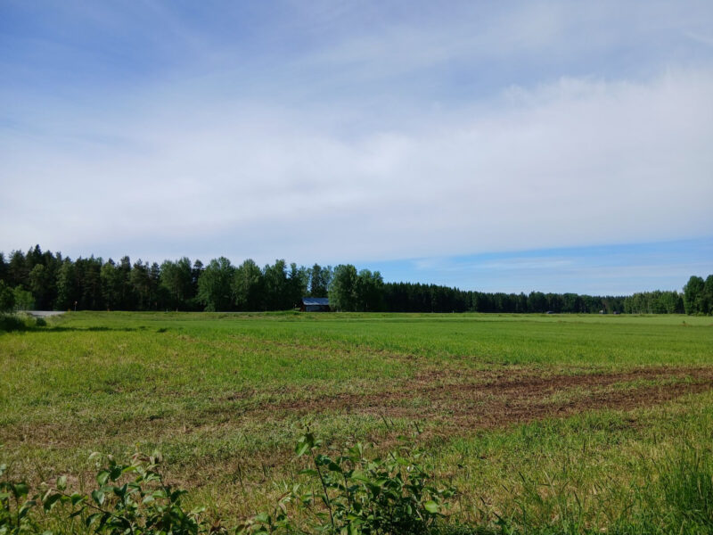 vepsä 18.6.2026
