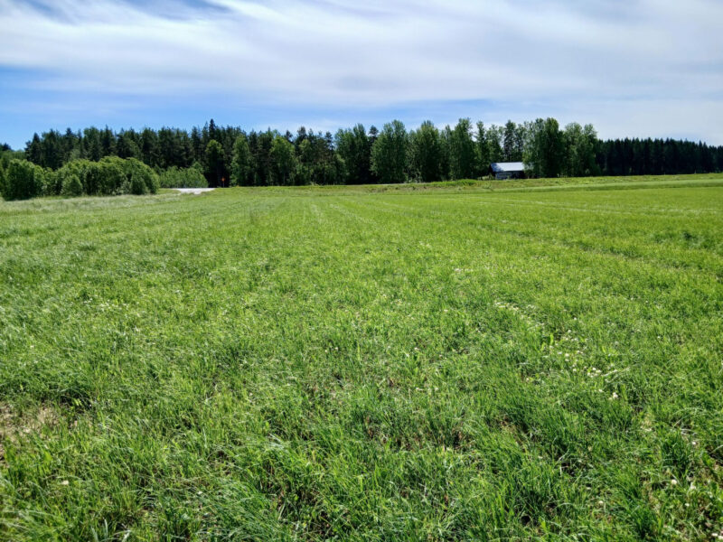 vepsä 23.6.2026