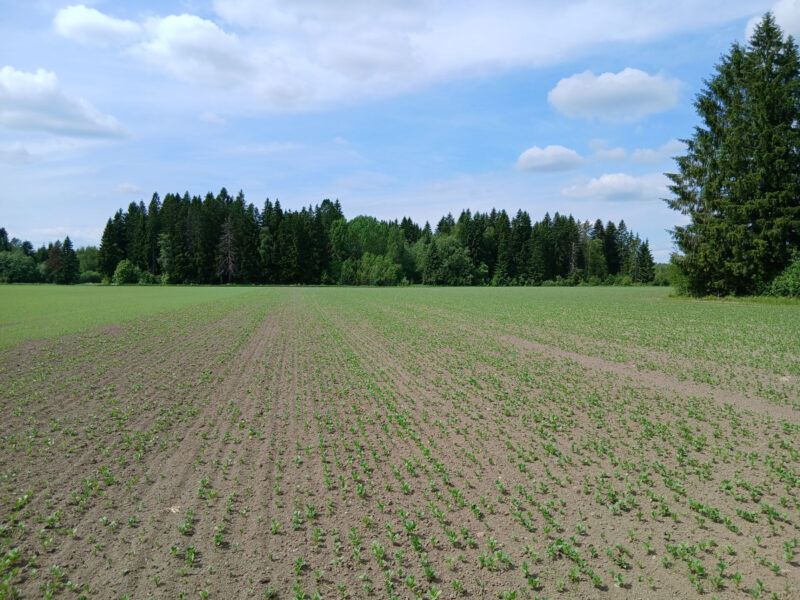 yhteislaidun 8.6.2026