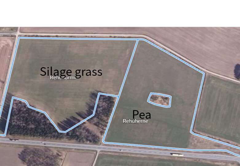 ruohonen 2026