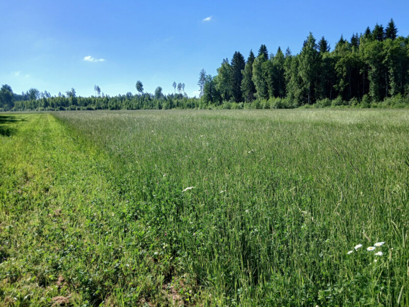 etu-lassila 29.6.2026