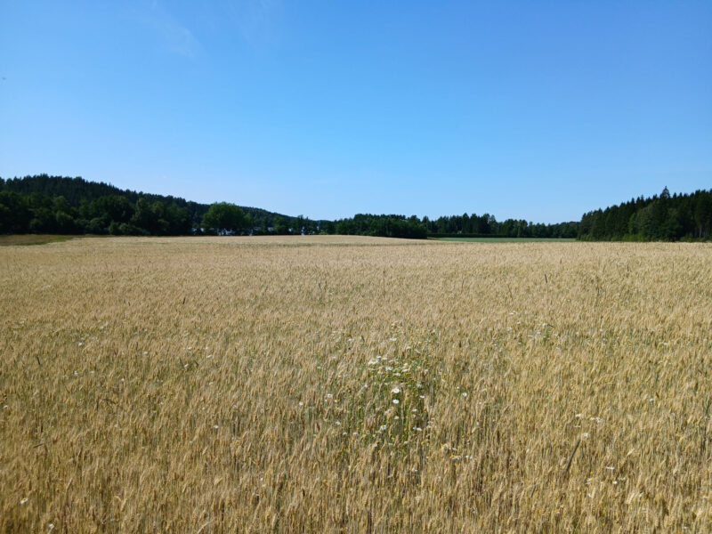 hakala 14.7.2026