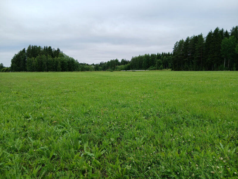 härkihaka 13.7.2026
