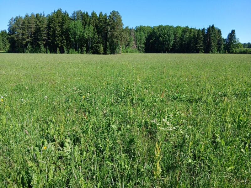 härkihaka 29.6.2026