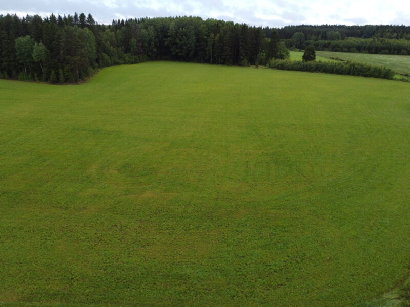 härkihaka 8.7.2026
