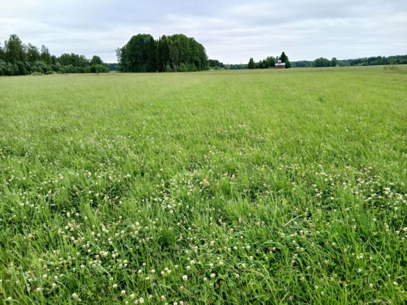 iso lassila 13.7.2026