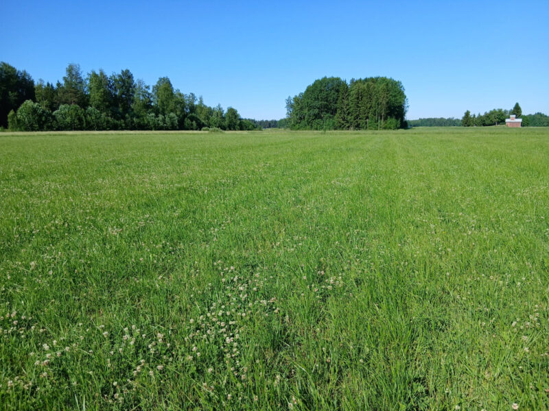 iso-lassila 29.6.2026