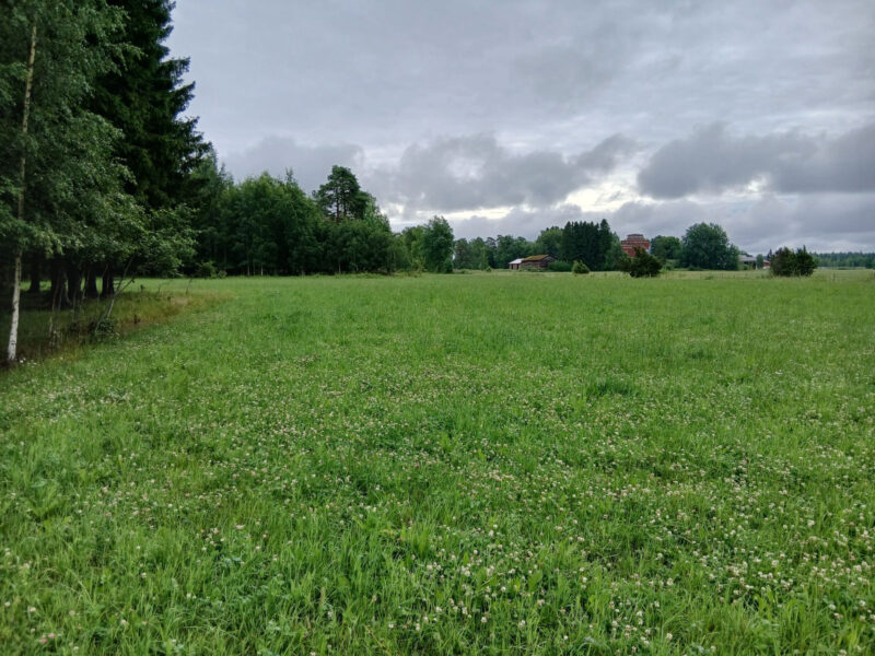 kaski 8.7.2026