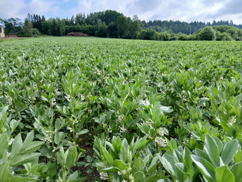 kuusiaita 30.6.2026