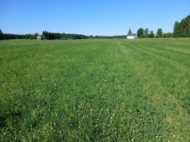kylmäoja 29.6.2026