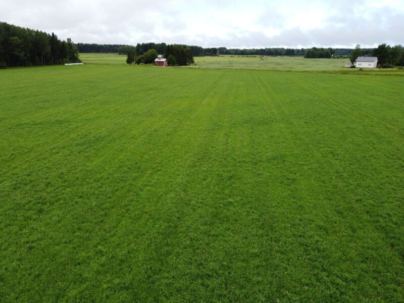 kylmäoja 8.7.2026