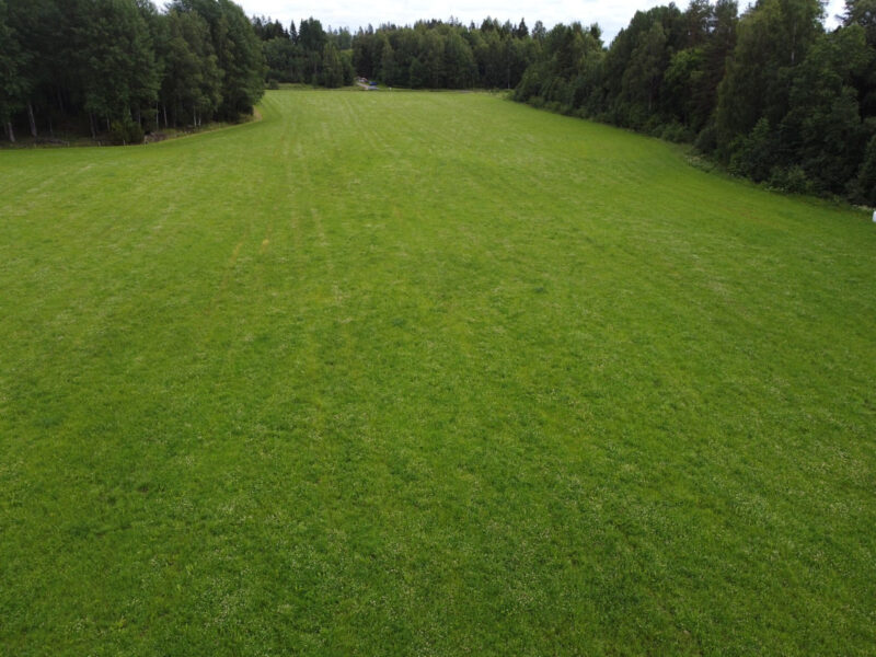 Kyttälä 8.7.2026