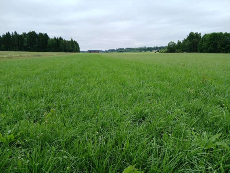 lamminranta13.7.2026