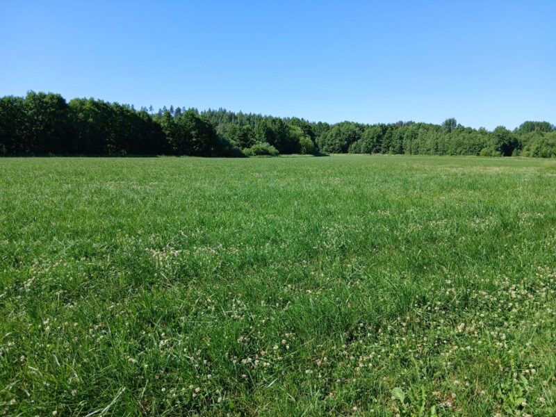 lamminranta 29.6.2026