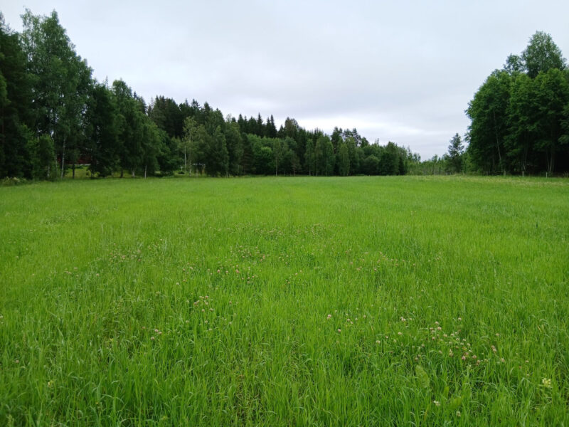 leipurinlohko 13.7.2026
