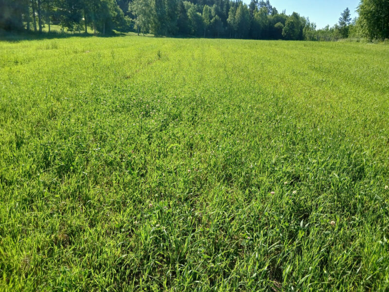 leipurinlohko 29.6.2026