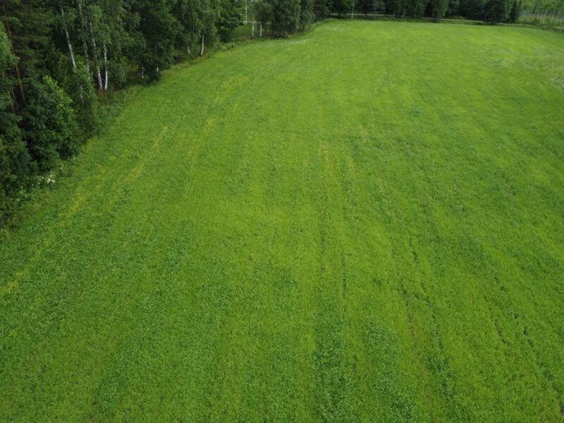 leipurinlohko 8.7.2026