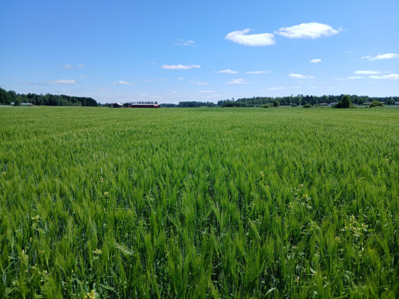 mönkkö14.7.2026