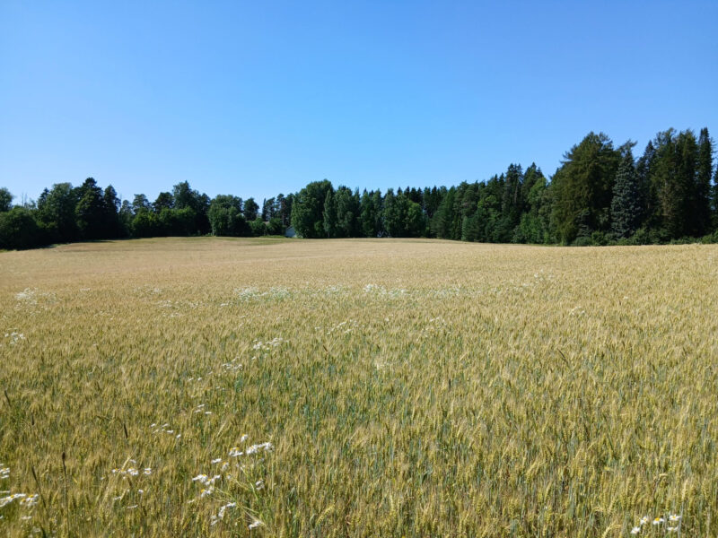 nokkamäki 14.7.2026