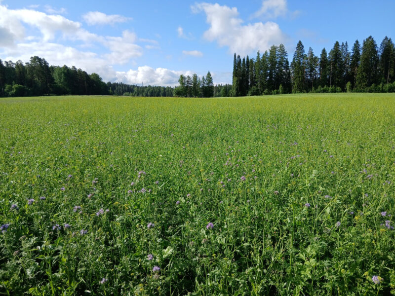 nummilohko 14.7.2026