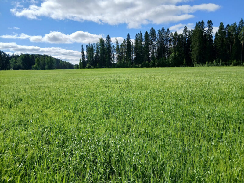 nummilohko 14.7.2026
