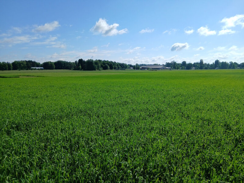 nummilohko 30.6.2026