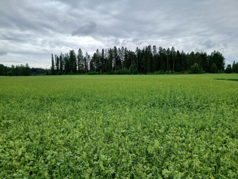 nummilohko 8.7.2026
