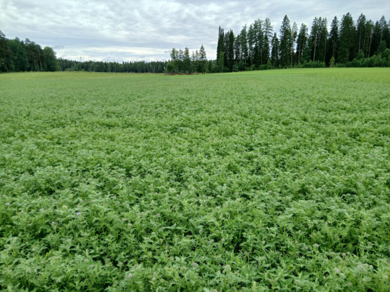 nummilohko 8.7.2026