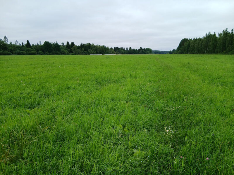 pellinsuo taka 13.7.2026