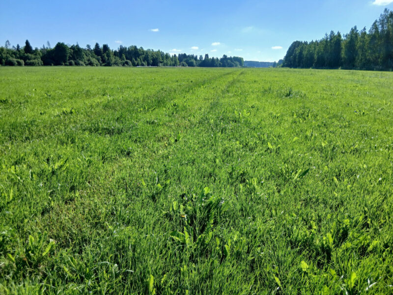 pellinsuotaka 29.6.2026