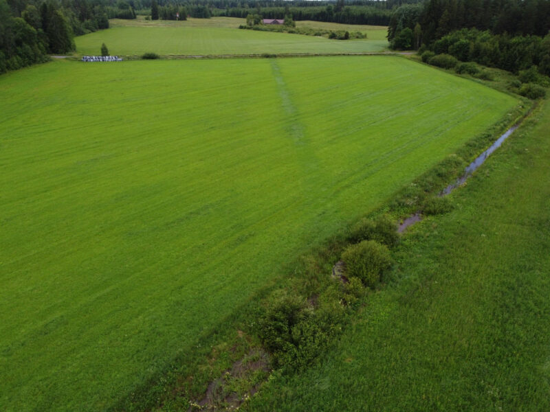 peräkäs 8.7.2026
