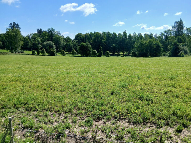 puutarhalohko 29.6.2026